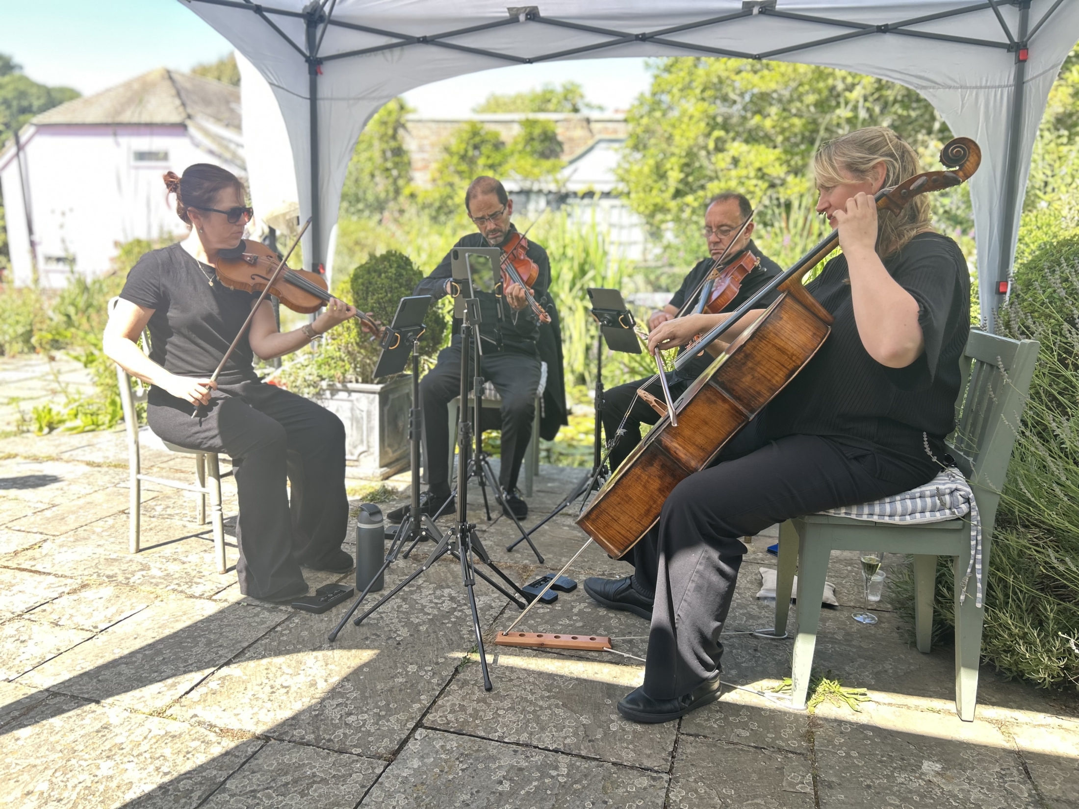Wedding String Quartet Drinks Reception